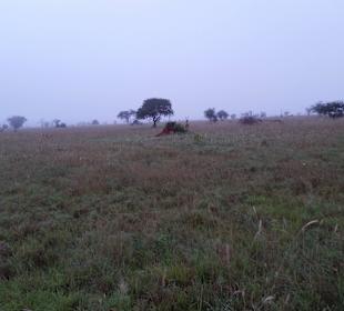 Sarova Salt Lick Game Lodge