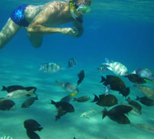 Am Strand beim Schnorcheln