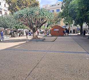 Paseo de Vara de Rey in Ibiza Stadt / Eivissa