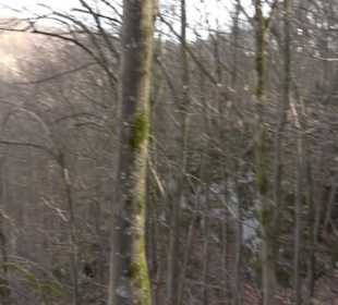 Wolfsschlucht