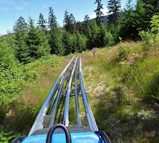 Unterwegs auf der Abfahrt des Alpine Coasters