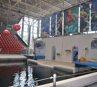 Delfinarium w Warnie