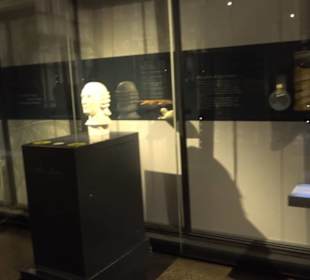 Museum für Naturkunde