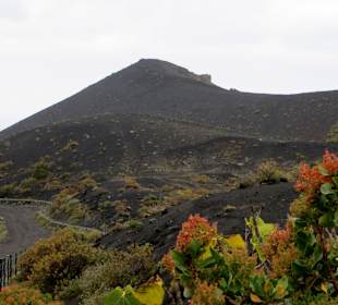 Blick auf den Vulkan San Antonio (657 m hoch)