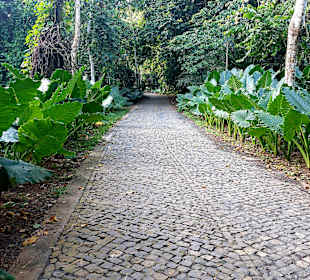 Der Weg ist das Ziel