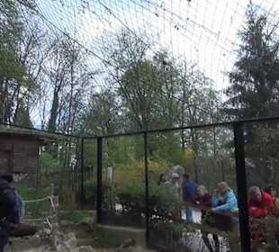 Südamerikabereich - Vogelhaus