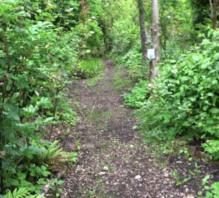 Mezger's Bürgle Park Salzstetten