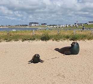 Strand Büsum