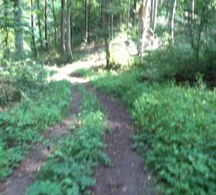 Premiumwanderweg "hochgesprudelt"