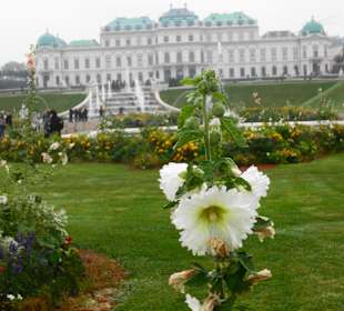 Natur und Kultur im Einklang