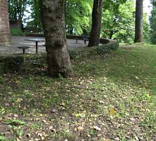 Aussichtspunkt Hasenberganlage