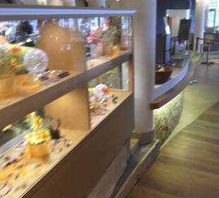 Rezeption - Spa - Ebene 1