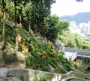 Der gesamte, steile Weg ist von Buddhas gesäumt