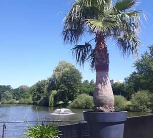 Kurpark Bad Rappenau