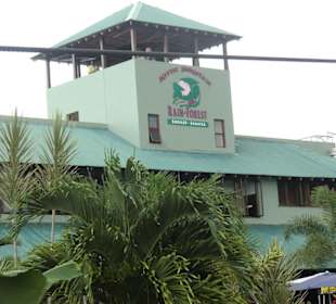 Bergstation der Bahn