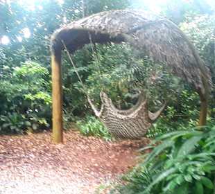 Singapur Zoo