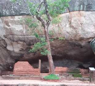 Elefantenreiten Sigiriya