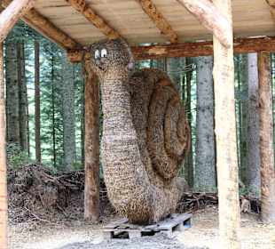 Wandern Annaberg im Lammertal