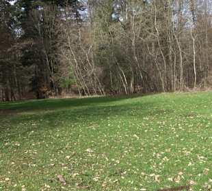 Gomaringer Rundweg - Zu den Giganten im Wald