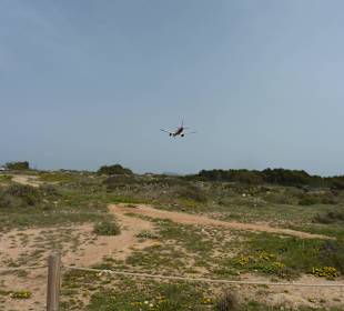 Die Urlauber kommen...Can Pastilla