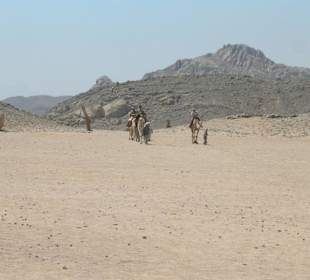 Kamel reiten im Beduinen Dorf