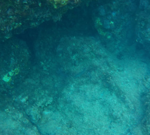 Schnorcheln beim 2. Stop 3