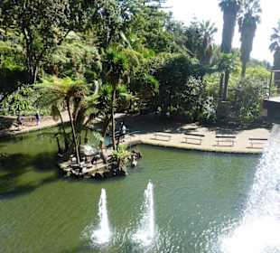 Jardim Tropical Garden Monte Palace