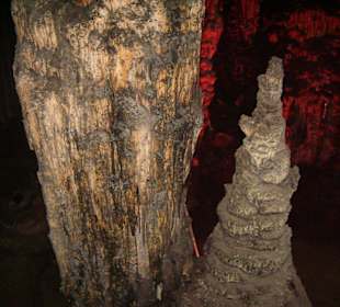 Ob die noch weiter wachsen?