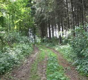 Premiumwanderweg "hochgehackert"
