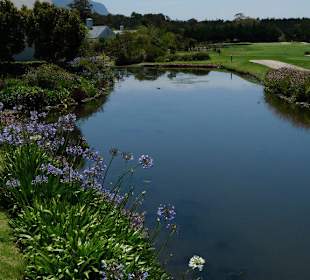 Steenberg Golf Resort
