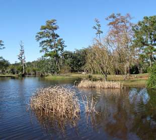 Gartenanlage der Orton Plantation
