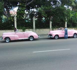 Für Oldtimerfans ist Havanna ein Pflichtaufgabe