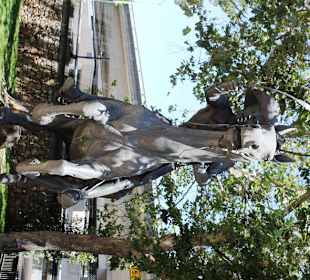 Schnell mussten die sein