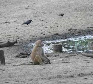 Serengeti Park Hodenhagen