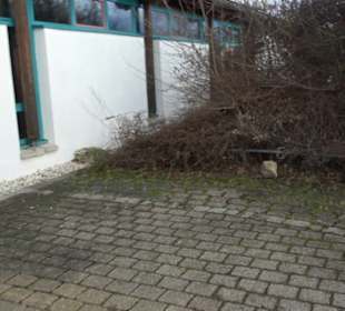 Hohensteinhalle Meidelstetten