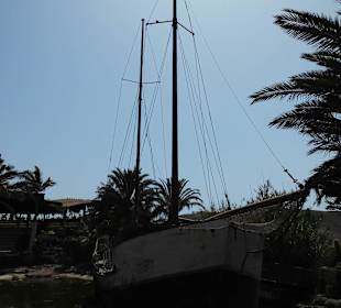 Oasispark - Kakteengarten - Juli 2015