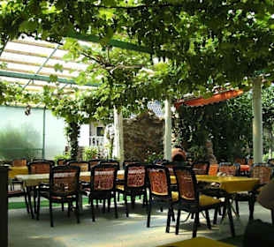 Im Weingarten unter Trauben