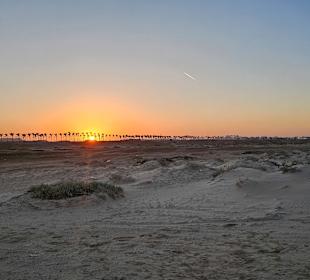 Quad Tour Marsa Alam 