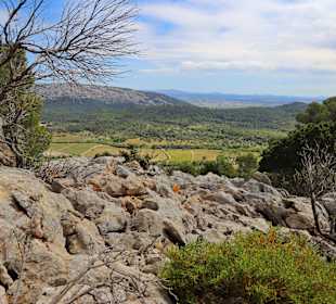 Wandern Pollença / Pollensa