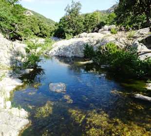 Impressionen von einer Wanderung an der Massane