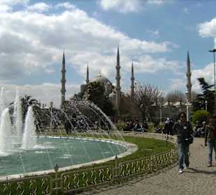 Blaue Moschee im Frühling