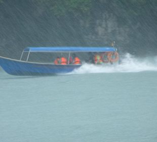 Die wurden naß wie die Katzen