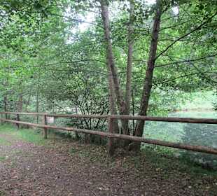  Wanderweg Helmbachweiher - Hornesselwiese