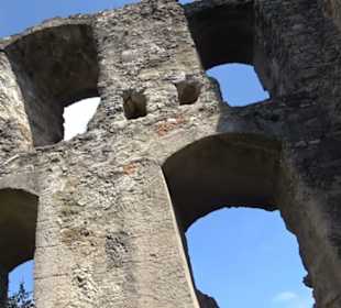 Burgruine Niederhaus