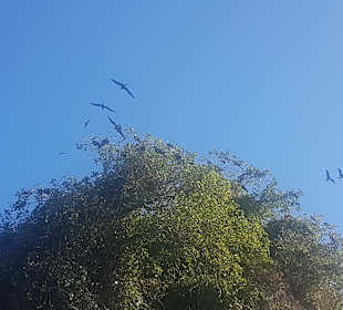 Los Haitises Nationalpark	