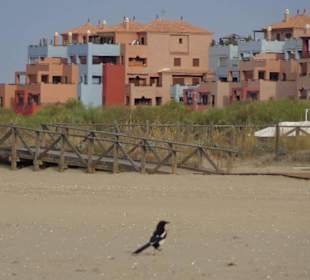 Fauna y playas hermosas