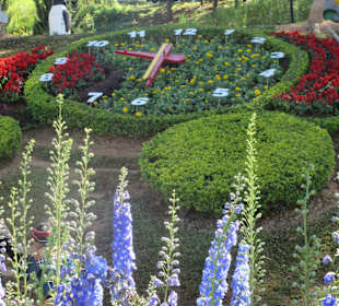 Blumenpark in Umgebung von Dalat