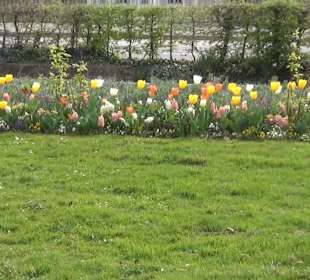 Rosengarten Offenburg