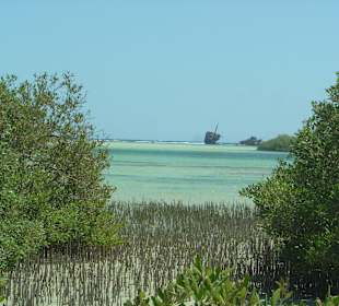 Blick auf das Wrack der Maria Schroeder