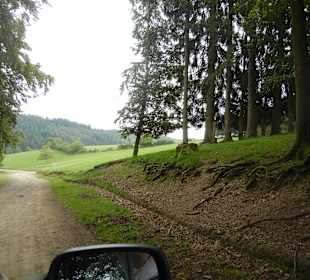 Aussicht Wildpark während der Fahrt